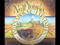 Nothing Is Perfect - Neil Young