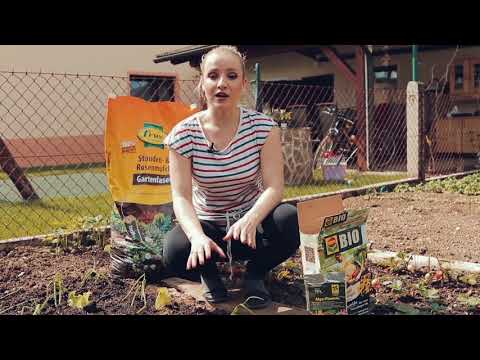 Video: Informacije o uravnoteženem gnojilu: uporaba uravnoteženih rastlinskih gnojil