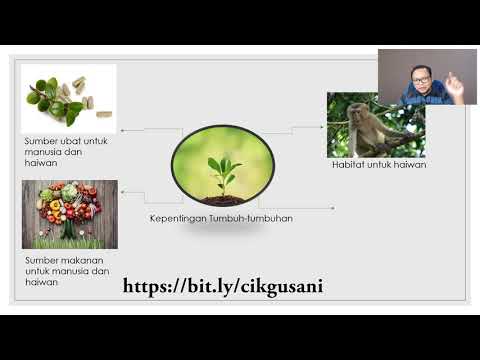 Sains Tahun 2: Tumbuh-tumbuhan