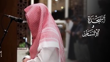 بأي قلب كان يتلو! القارئ عبدالله الموسى يتغنى بالٱيات ويبدع بأسلوبه |سورتي السجدة والإنسان  1445هـ