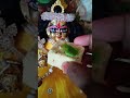 श्याम रंग मन भायो#hindudeity #khesarilalkajalraghwani #radheshyam 💖🙏👍
