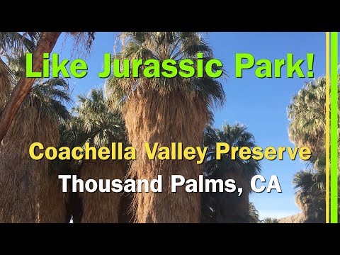 "MAJESTIC" COACHELLA VALLEY PRESERVE-THOUSAND PALMS, CA-EP56