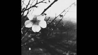 A Rose Dying In The Rain - April 16th (Blackgaze/Post-Black Metal/DSBM)