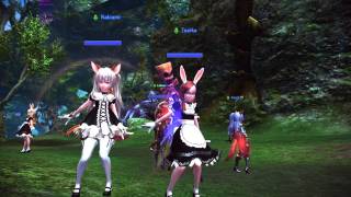 Elin Kitchen Dance