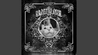 Fork Scraping a Plate Type Beat