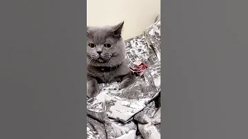 اه لو لعبت يا زهر 