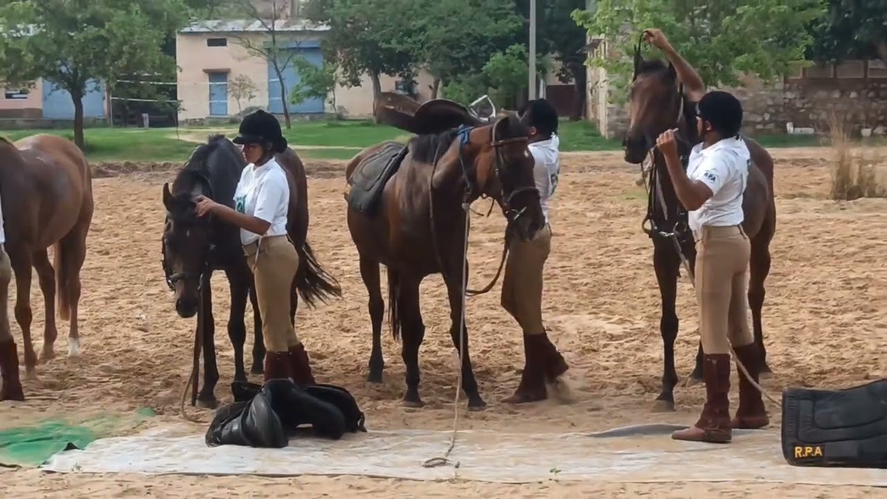 ट्रेड टेस्ट कैसे होता है और किस प्रकार होता है#ट्रेड How to trade test #tradetest #trade #equestrian