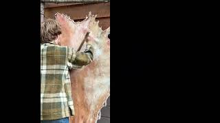 #duet #shortvideos #shorts #shortsviral #short #shortvideos #shortsfeed #physics #funny #science