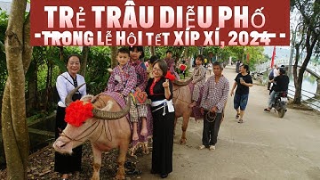 Tái hiện trẻ chăn trâu diễu phố bản Lễ hội Tết xíp xí người Thái, năm 2024, di sản Quốc gia