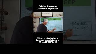 Let’s Talk Respiratory Therapy Gradients: What Does PLAT - PEEP Tell You?
