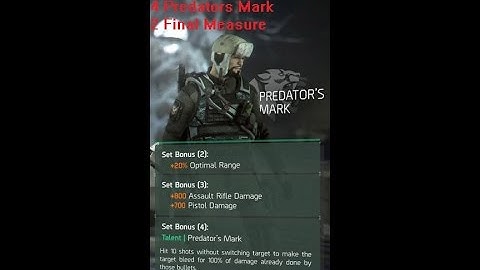 The Division - Predators Mark PVP DPS Build