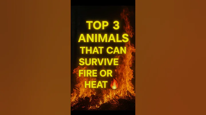 Top 3 Animals That Can Survive Fire or Heat 🔥 | INFINIAFACTS