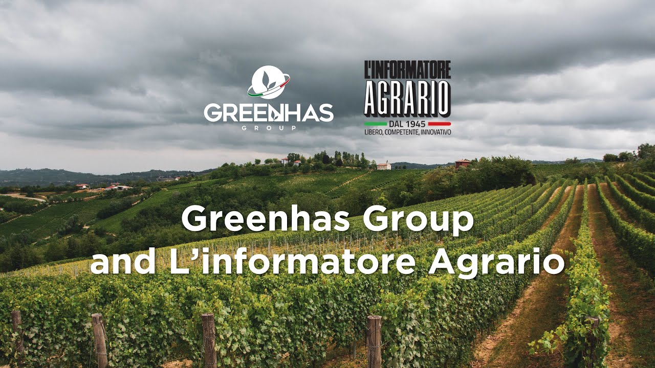 Greenhas Group, more strenght to crops - GREENHAS GROUP PRODUCTS