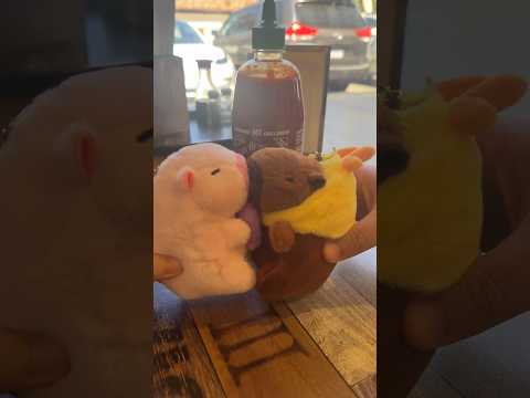 Capybara plush keychain