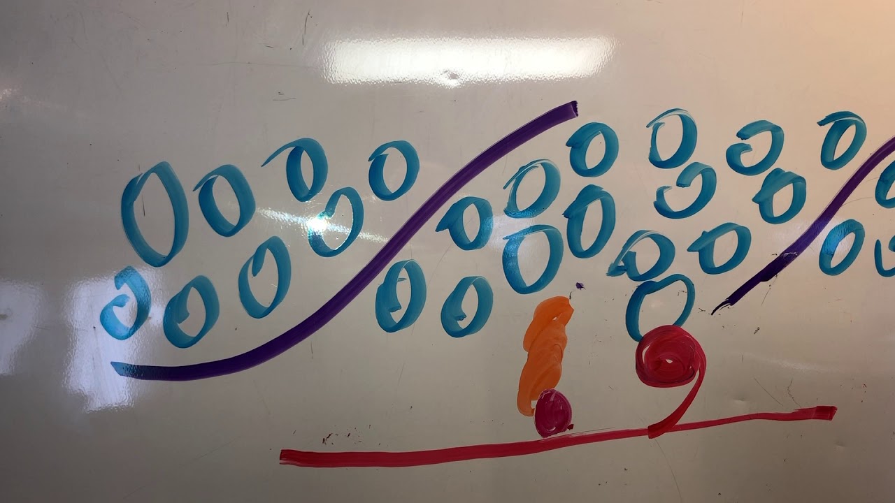 Steps of Muscle Contraction - YouTube