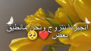 |قصه حب انجـ ـبرنا نتزوج بسبب وصيه جدتي ونحن مانـ ـطيق بعض لكن الي حصل بينا 🤭💗💗