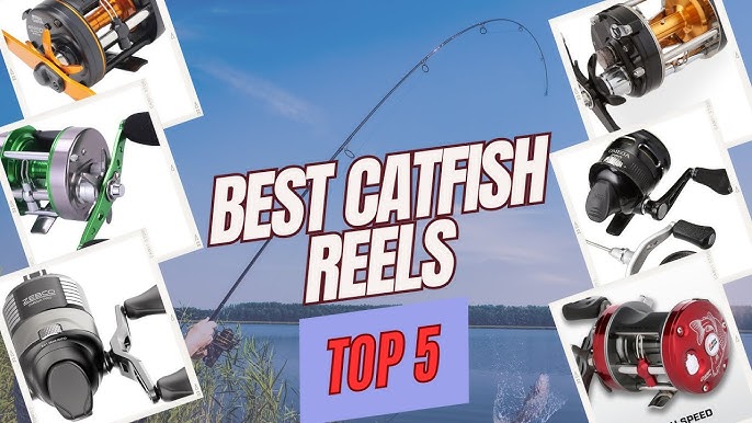 The 10 Best Monofilament Fishing Lines for 2023 - The latest