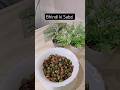 “Quick &amp; Tasty Bhindi Sabzi Recipe” #quickmeals  #cooking  #indianfood  #easyrecipe  #vegetarian