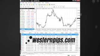 High-frequency (HFT) forex trading Newest Pro Arbitrage EA Quotes Delay