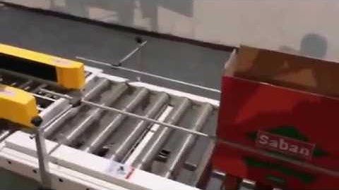 Whole packing line with palletizing robot, bag packing machine, carton sealing machine, robot...