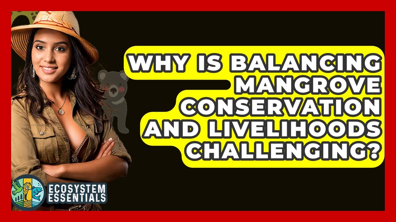 Why Is Balancing Mangrove Conservation And Livelihoods Challenging? - Ecosystem Essentials