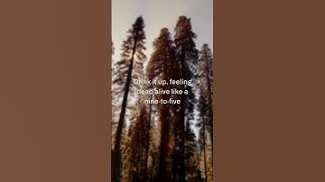 Thumbnail of FKA Twigs, North West - Childlike Things | Lyrics
