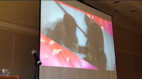 Phoronix.com - TI Wayland Video Demo