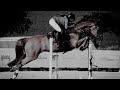 Infinity || Dark Aesthetic Equestrian Music Video