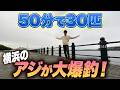 【横浜新港】横浜の大人気釣り場を貸切！一人でアジ入れ食いを楽しむ条件とは？！
