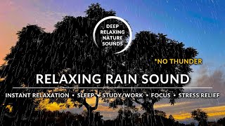 🌧️ NATURE WHITE NOISE Sound | RELAXING RAIN FALLING | #RainSoundsForSleeping #SoothingRainSounds by Deep Relaxing Nature Sounds 33 views 1 year ago 3 hours