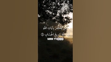 ماهر المعيقلي - سورة آل عمران ( برواية حفص عن عاصم ) الأية 19