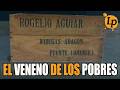 LA BEBIDA DE LA MUERTE, EL PRECEDENTE DEL ACEITE DE COLZA · ESPAÑA, 1963 · LETRA PEQUEÑA