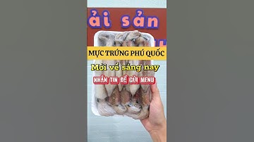 Hàng hóa về mỗi ngày: Mực trứng, mực ống, mực lá, cồi hàu điếu, cá thu,...
