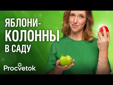 ВСЁ, ЧТО ВЫ