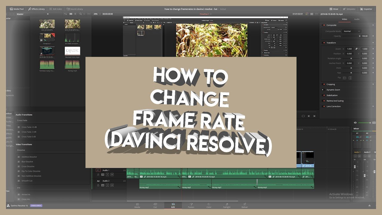 slow motion davinci resolve plugin