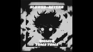 Tigmus - Toma Toma (Brazilian Phonk) [Slowed   Reverb]