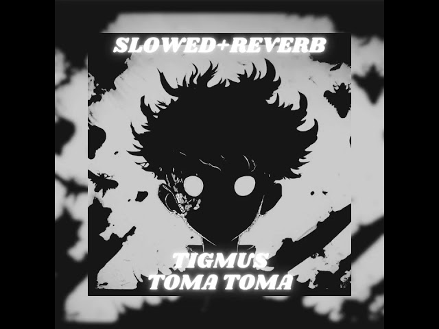 Tigmus - Toma Toma (Brazilian Phonk) [Slowed + Reverb] class=