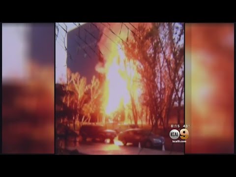 South Coast Plaza Unveils New Christmas Tree Only Two Days After the Fire