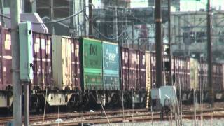1058レ EF210 155 シンパ 大久保~魚住間 2013年3月
