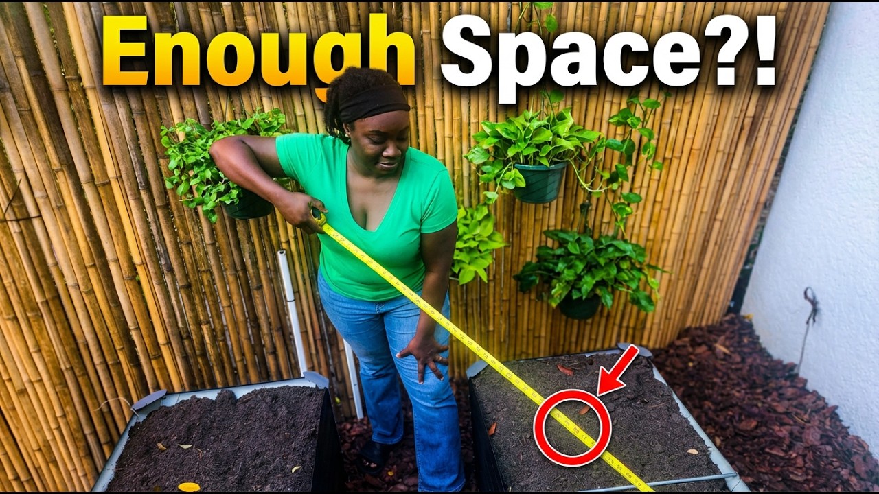 WILL THEY FIT?!  My 2 Raised Beds for Spring 🌱