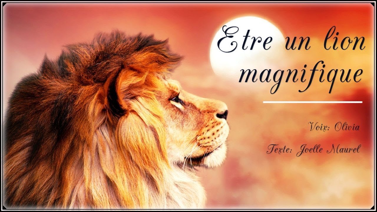 🌸 Méditation guidée pour les enfants et les parents - Etre un lion magnifique