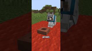 Hot take about pets...