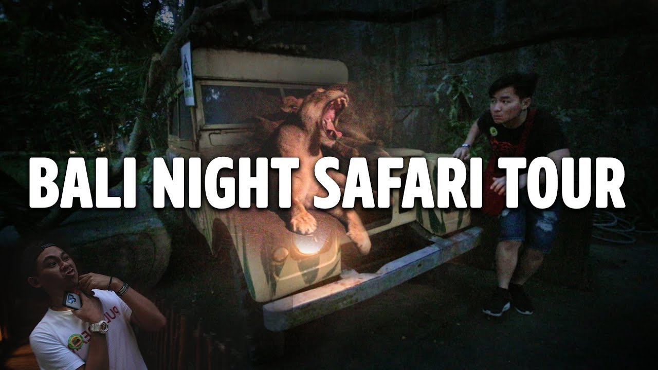 BALI NIGHT SAFARI TOUR YouTube bali-night-safari-tour-youtube