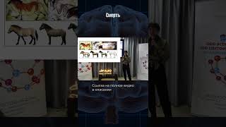 Елена Сударикова | Мысли о будущем | Мозг человека и других приматов #наука