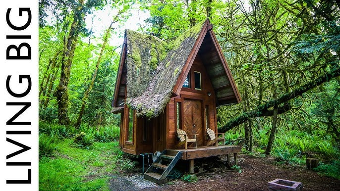 Storybook Cottage By The Sea 