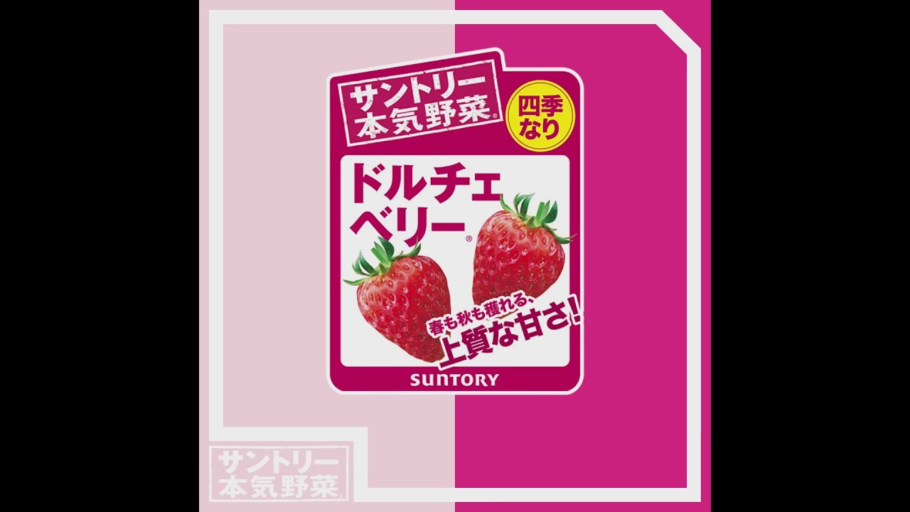 サントリー本気野菜 イチゴ ドルチェベリー 商品紹介 ショートver 11秒 Youtube