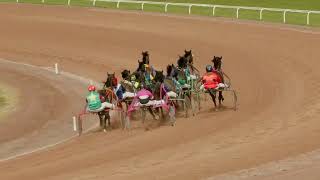 Vidéo de la course PMU PRIX HE AND ME - SERIE 3