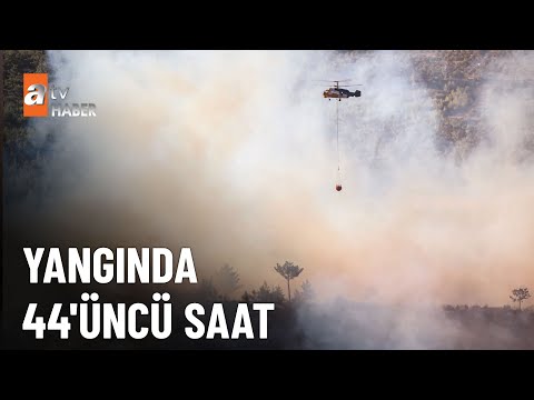 6 uçak, 15