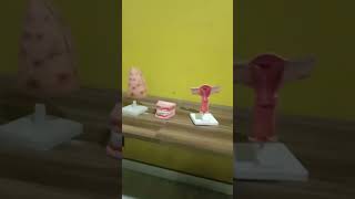Madhav Vidyapeeth Paramedical College Chomu Jaipur Mlt Lab Magan Sir 7878460354