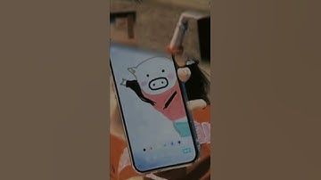 Hình heo Hứa Khải đáng yêu ghê ha 🤣#xukai #chengxiao #kaixiao